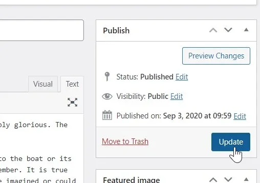 The WordPress Publish panel of the listing — Status: Published, Visibility: Public — with the pointer on the Update button.