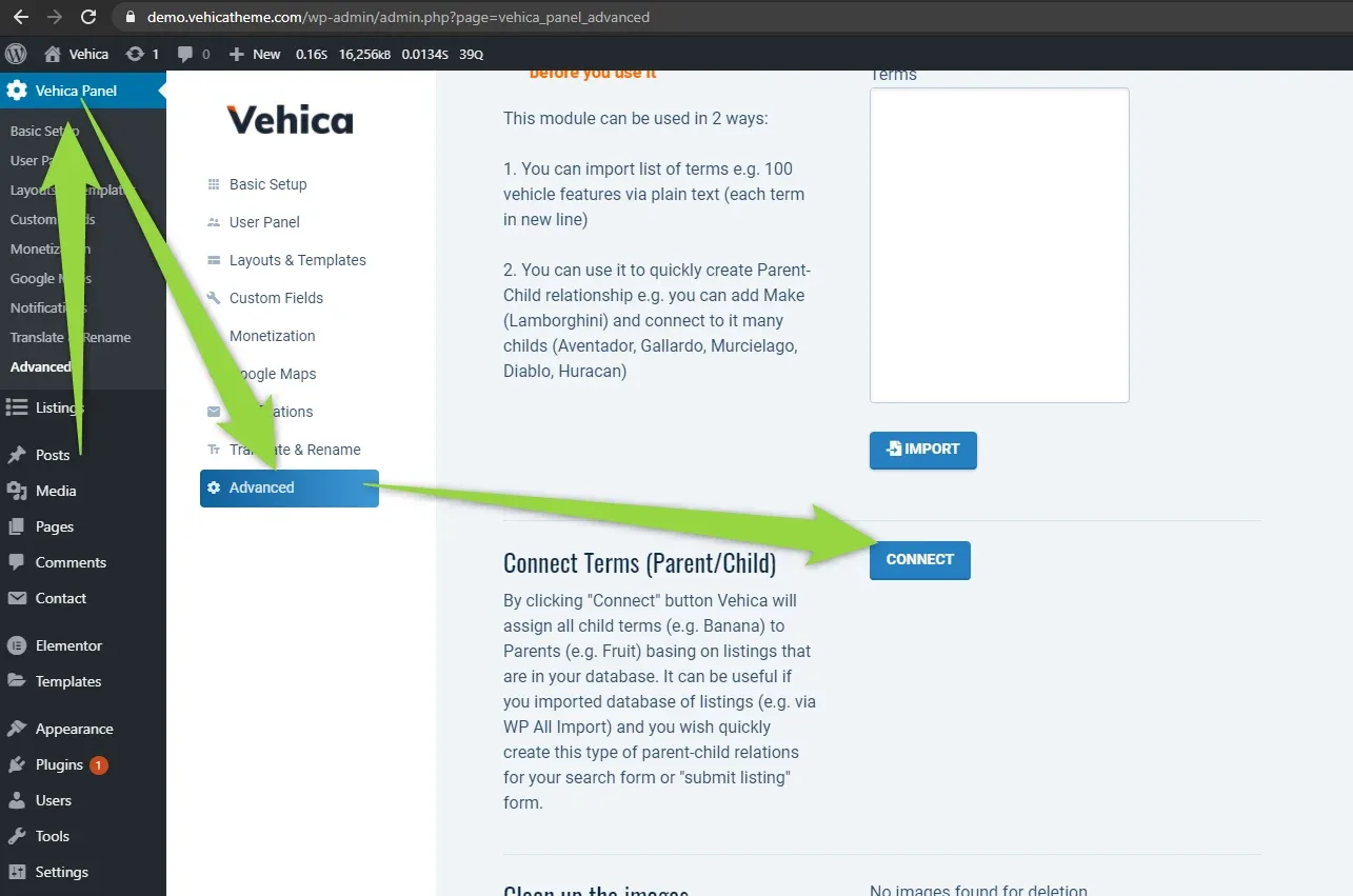 Vehica Panel > Advanced with arrows leading from the Advanced tab to the Connect button in the Connect Terms (Parent/Child) section