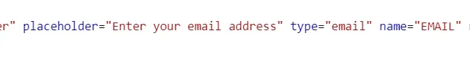 A close-up of the edited line of form code, reading placeholder="Enter your email address" type="email" name="EMAIL".