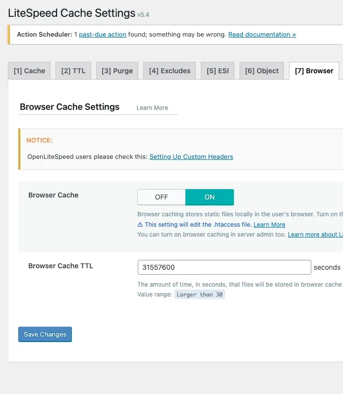Browser tab: Browser Cache is ON with a Browser Cache TTL of 31557600 seconds, above a notice pointing OpenLiteSpeed users to the custom headers guide.